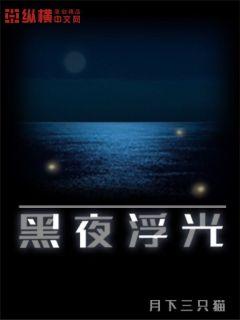 黑夜浮光