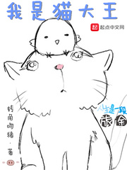 我是猫大王